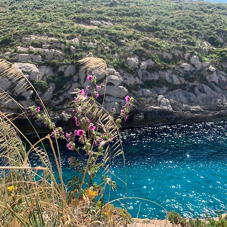 Private Bedroom With Balcony In A Shared Apartment At The Bay Of Xlendi Extérieur photo