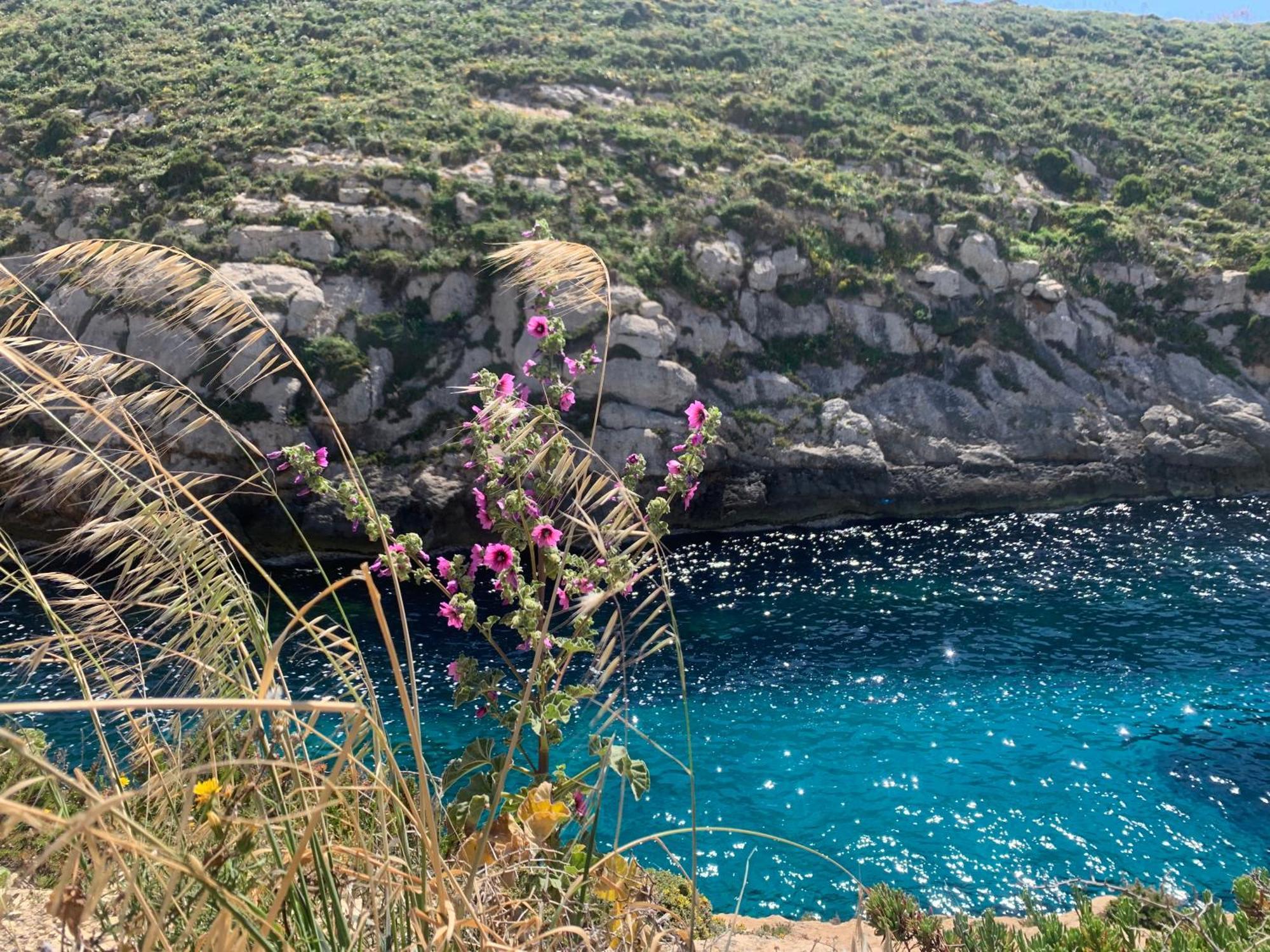 Private Bedroom With Balcony In A Shared Apartment At The Bay Of Xlendi Extérieur photo